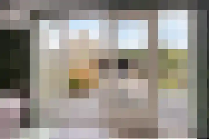 Terschelling 18 Emmeloord thumbnail 13