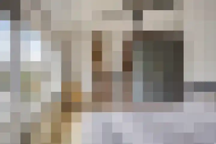 Terschelling 18 Emmeloord thumbnail 17