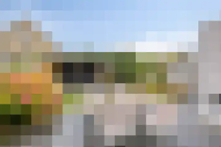 Terschelling 18 Emmeloord thumbnail 30
