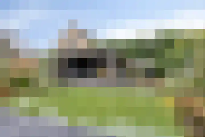 Terschelling 18 Emmeloord thumbnail 31