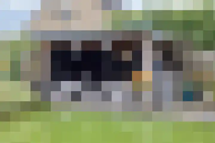 Terschelling 18 Emmeloord thumbnail 32