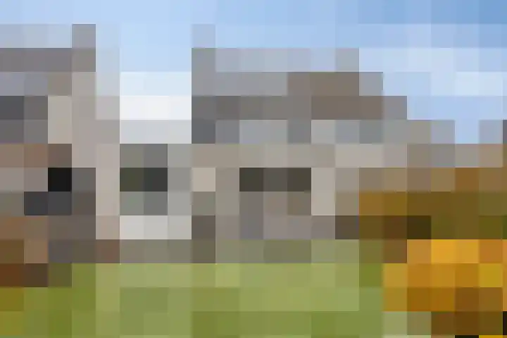 Terschelling 18 Emmeloord thumbnail 34