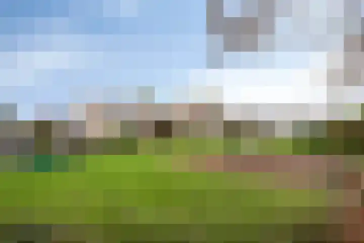 Terschelling 18 Emmeloord thumbnail 35
