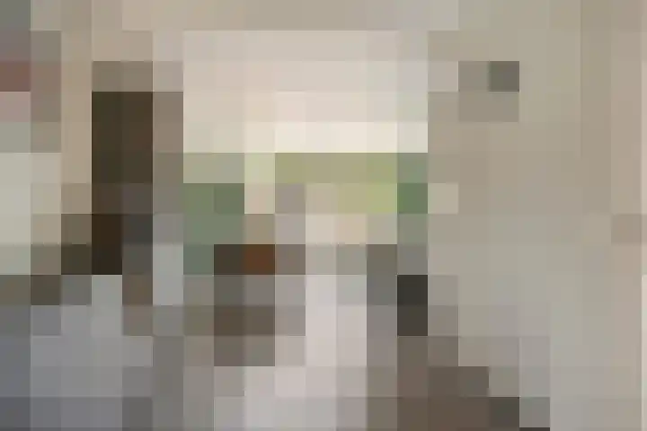 Terschelling 18 Emmeloord thumbnail 9