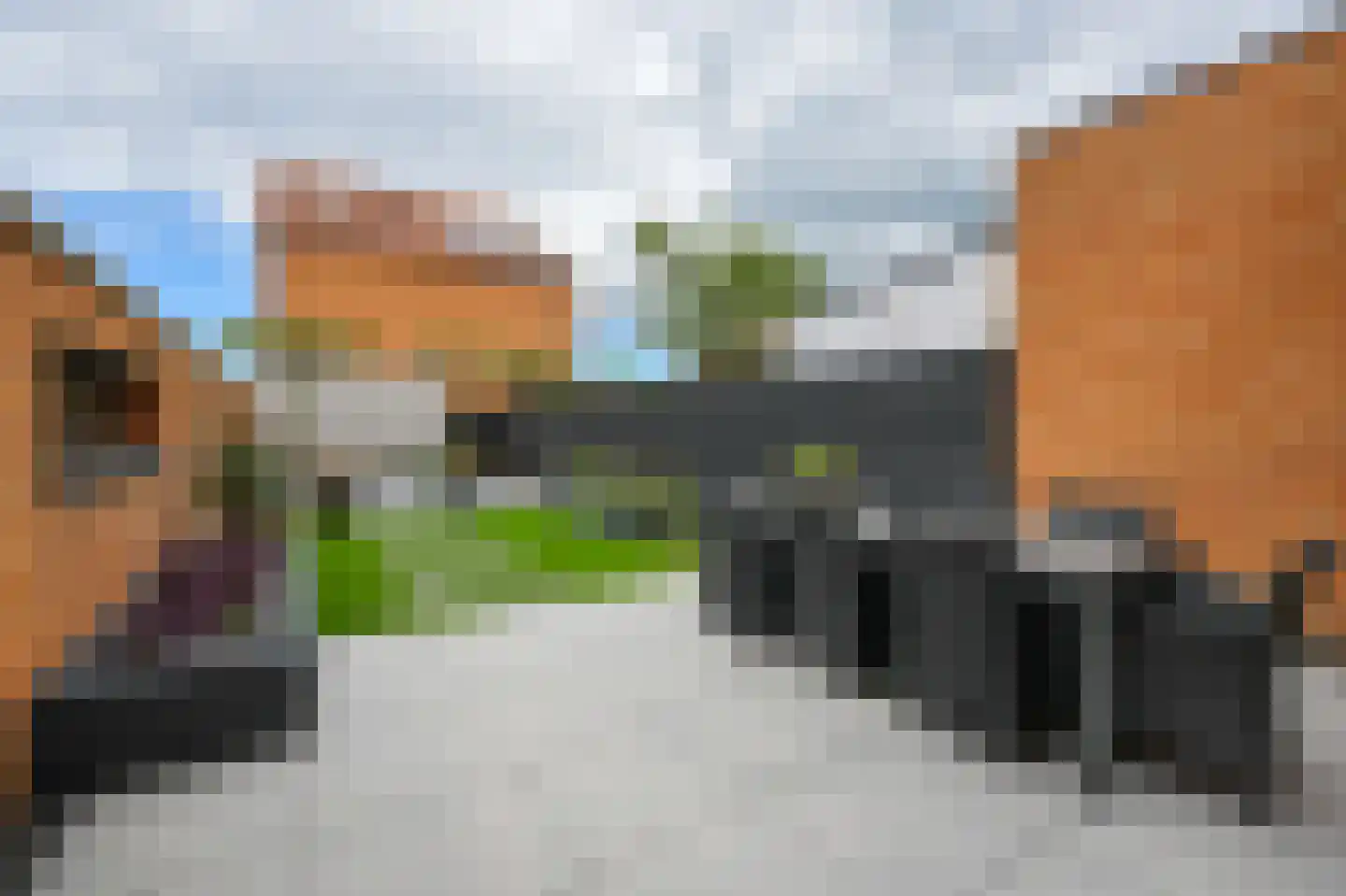 Terschelling 32 Heemskerk thumbnail 14