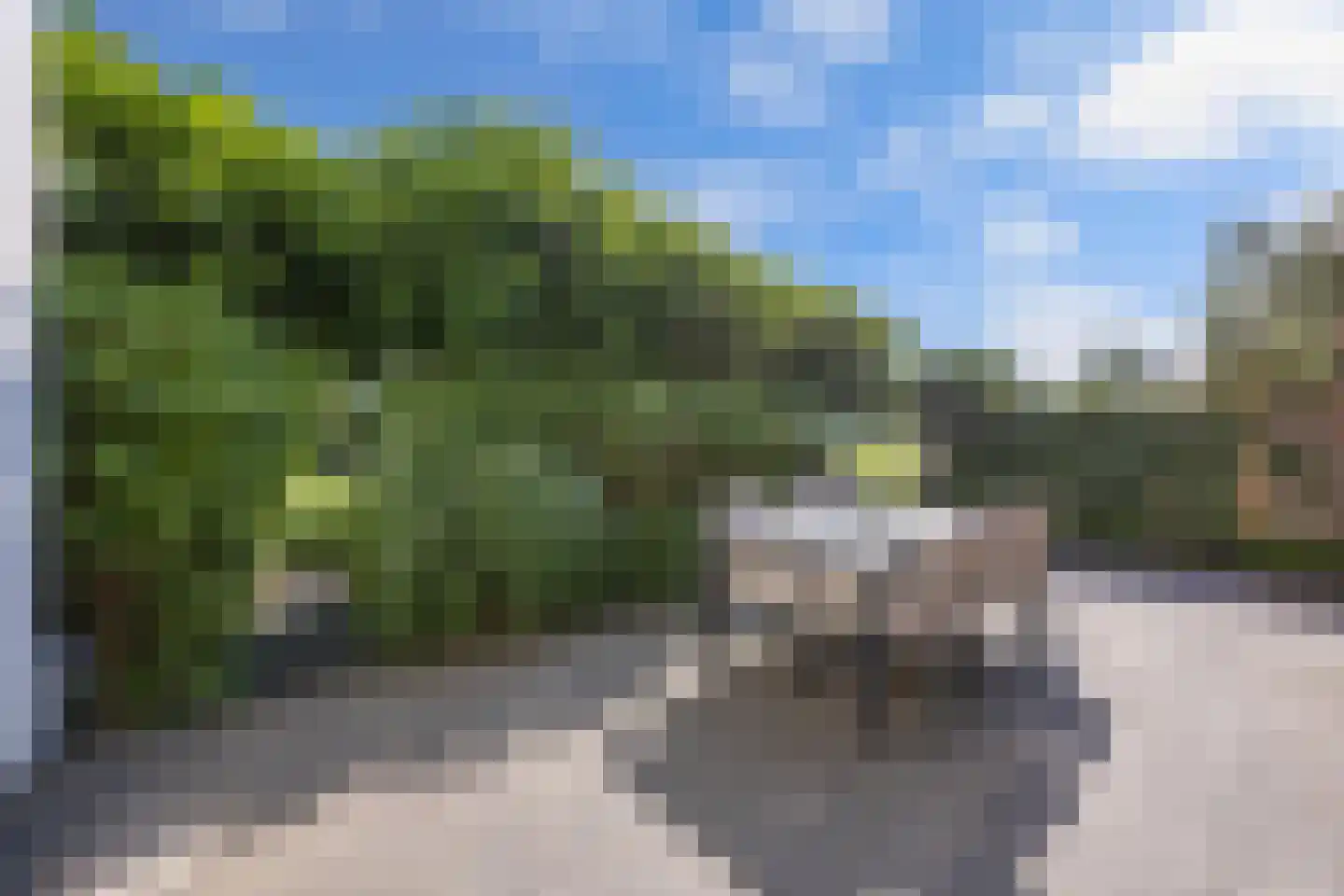 Terschelling 43 Heemskerk thumbnail 5