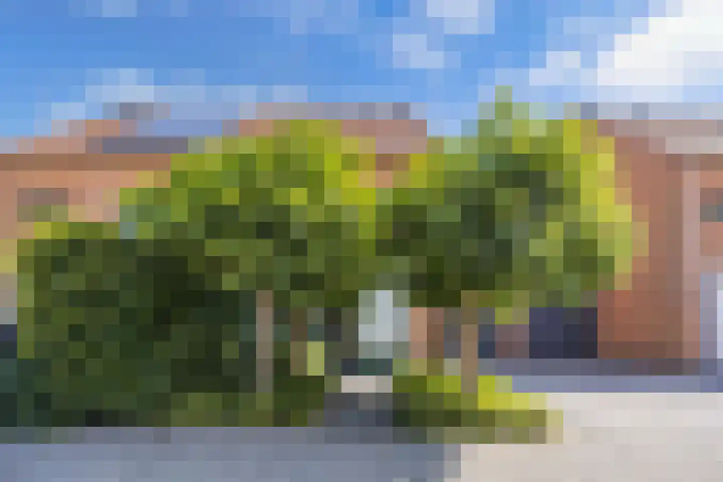 Terschelling 43 Heemskerk thumbnail 50