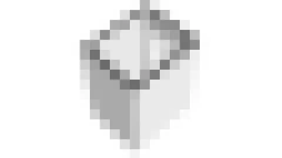Terschelling 43 Heemskerk thumbnail 69