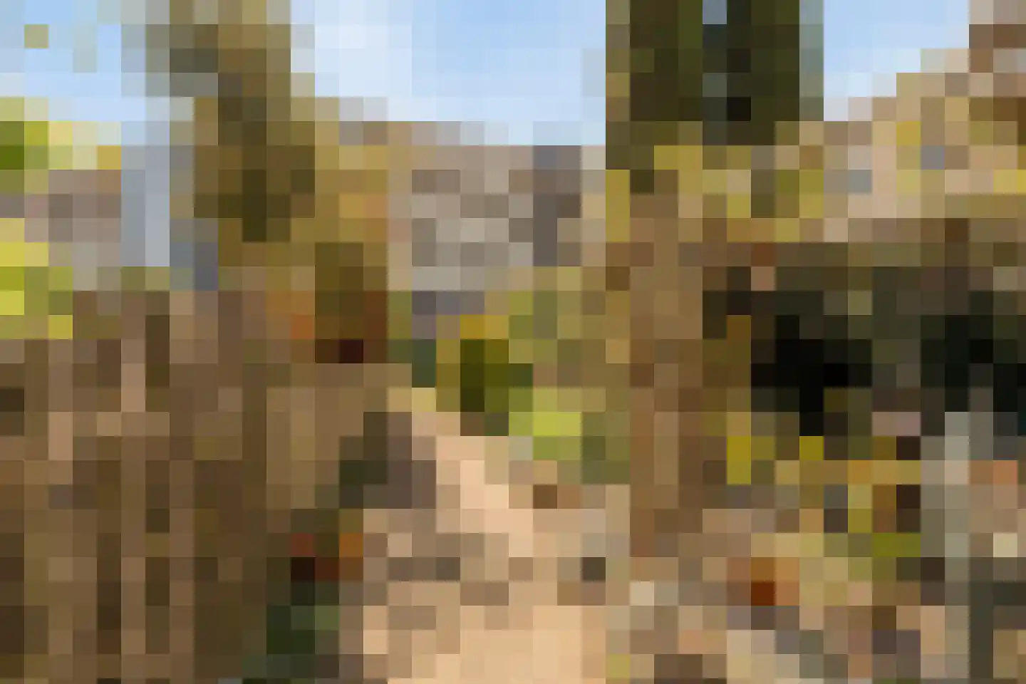 Terschellingeroog 1 Barendrecht thumbnail 17