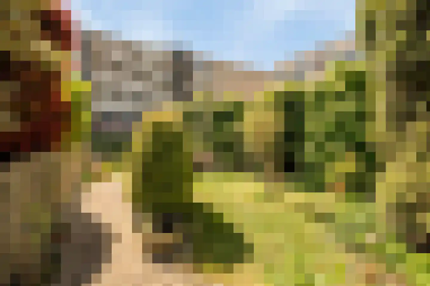 Terschellingeroog 1 Barendrecht thumbnail 18