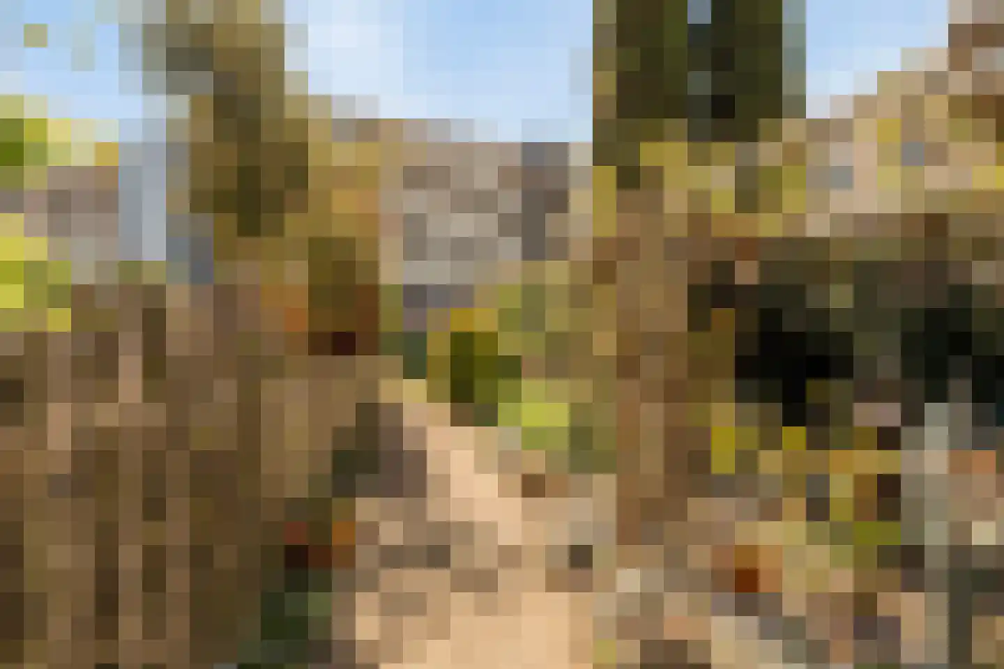 Terschellingeroog 1 Barendrecht thumbnail 19