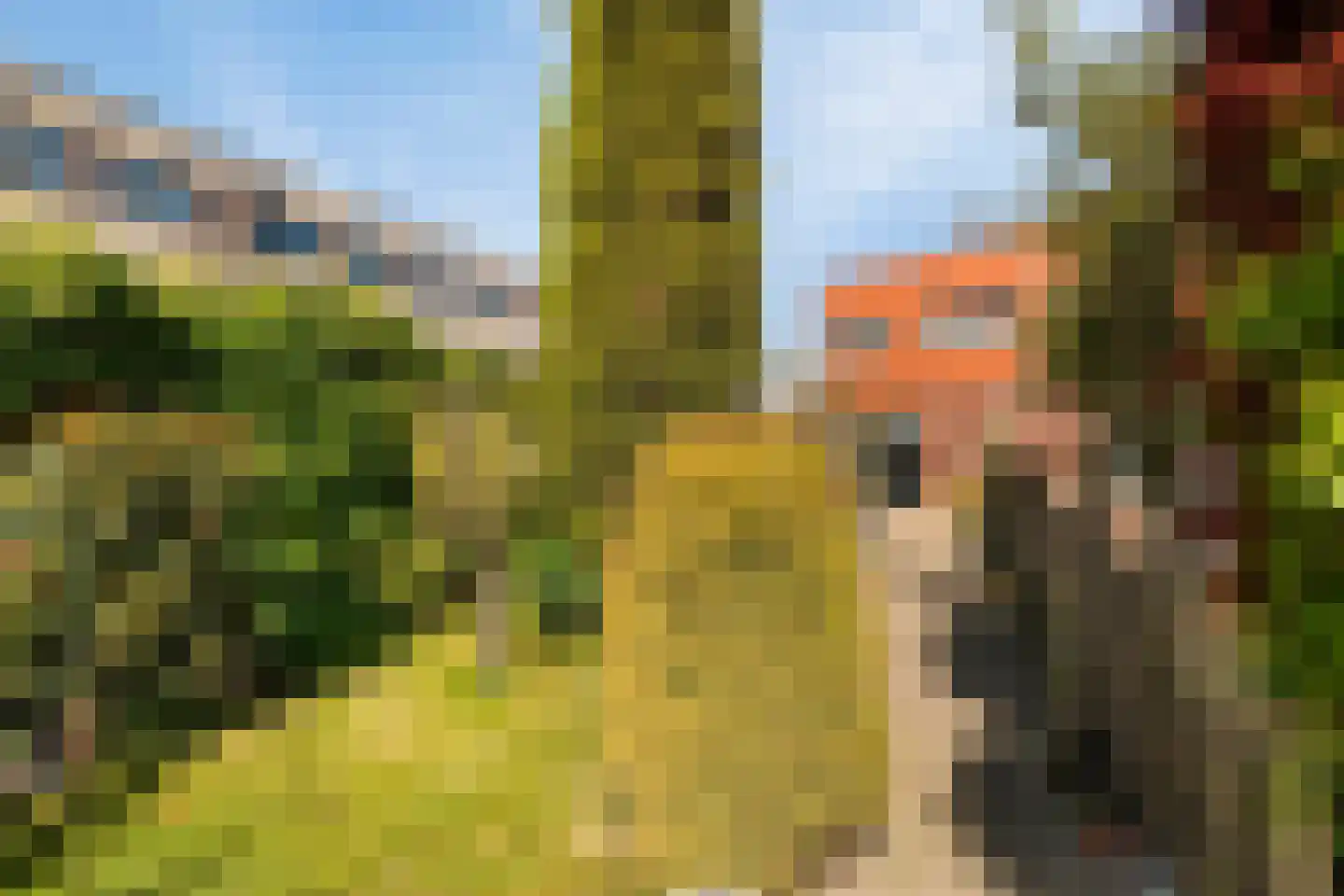 Terschellingeroog 1 Barendrecht thumbnail 21