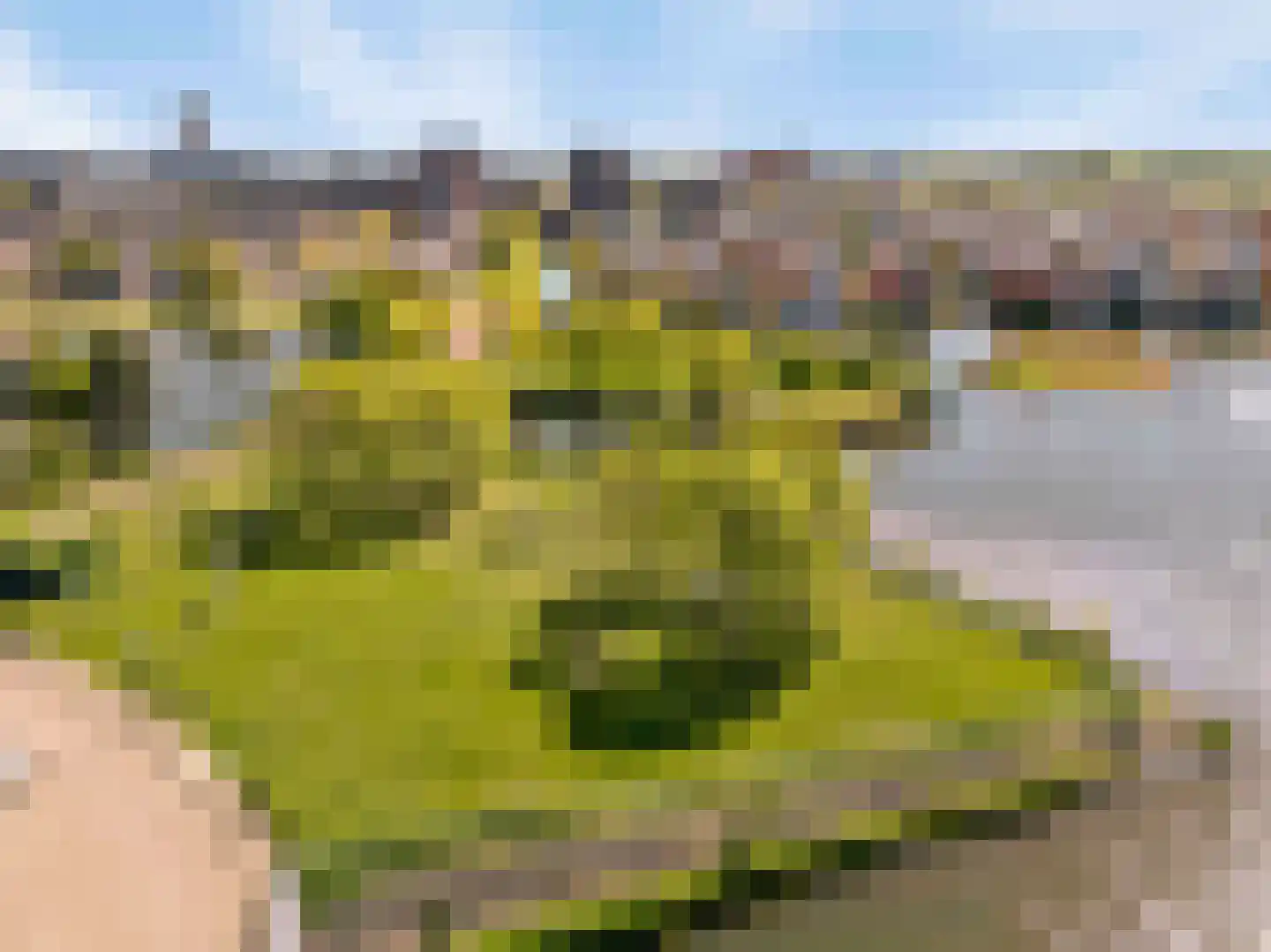 Terschellingeroog 1 Barendrecht thumbnail 43