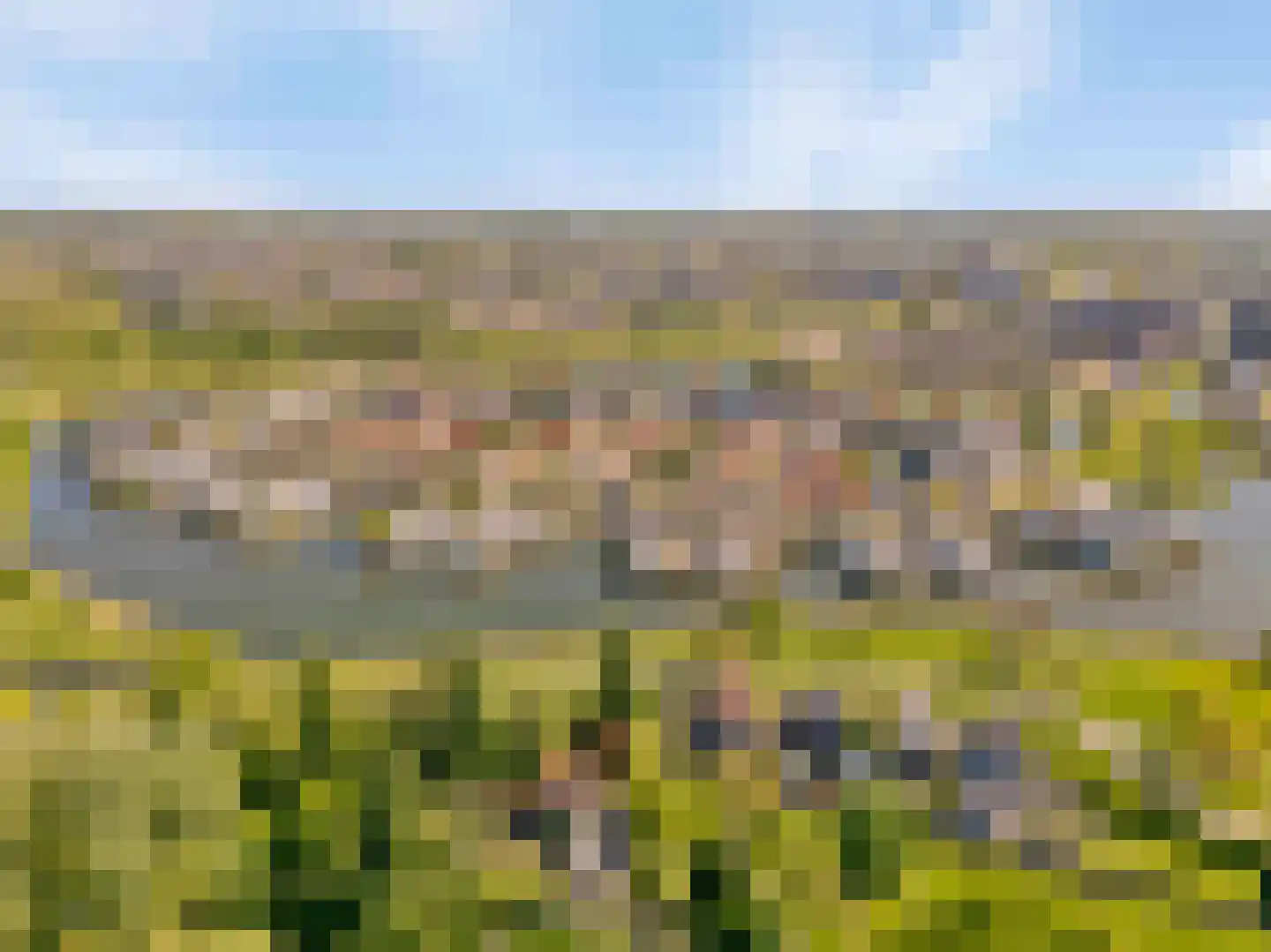 Terschellingeroog 1 Barendrecht thumbnail 5