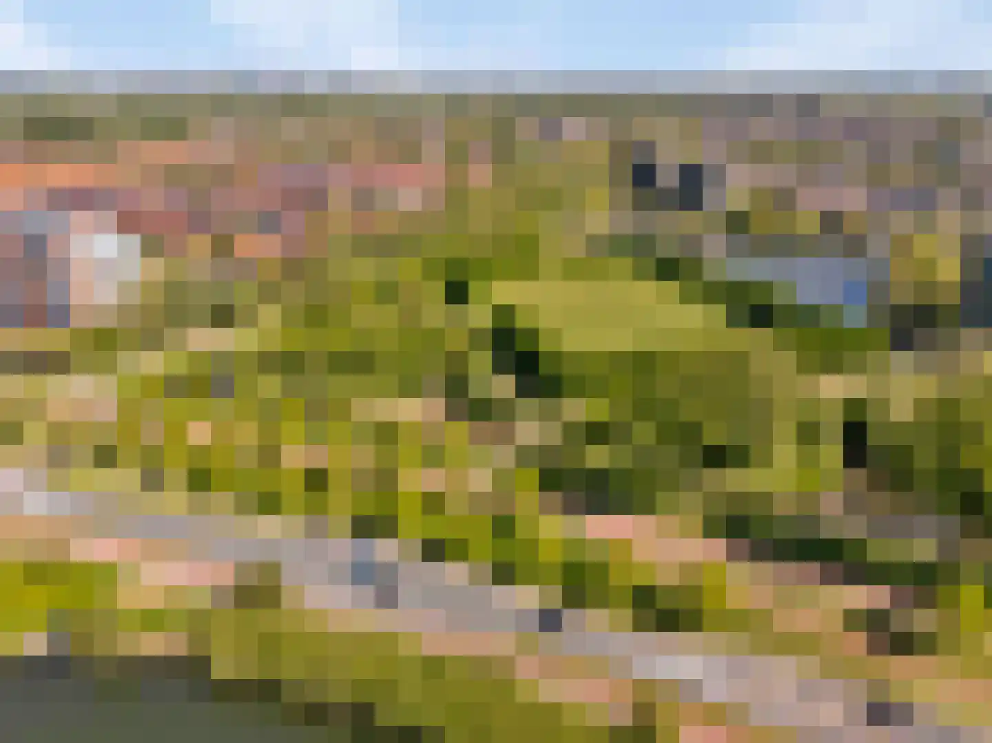 Terschellingeroog 1 Barendrecht thumbnail 54