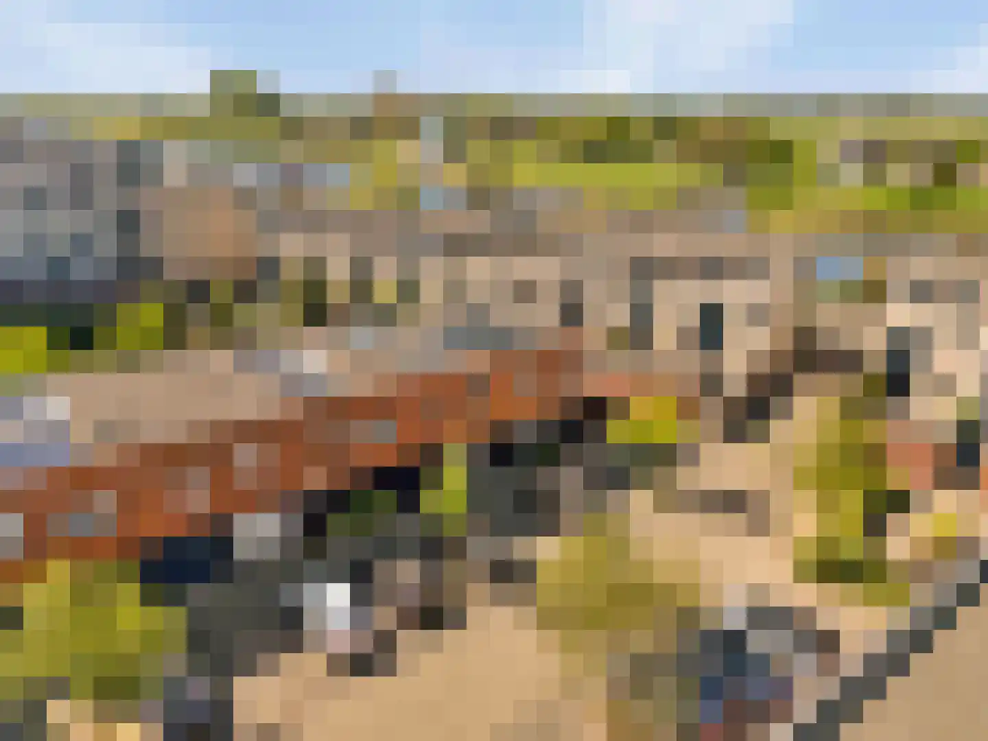 Terschellingeroog 1 Barendrecht thumbnail 6
