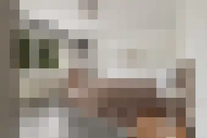Terschellingkade 13 Woerden thumbnail 11