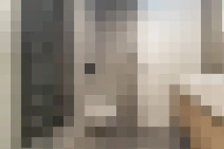 Terschellingkade 13 Woerden thumbnail 14