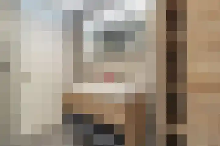 Terschellingkade 13 Woerden thumbnail 15