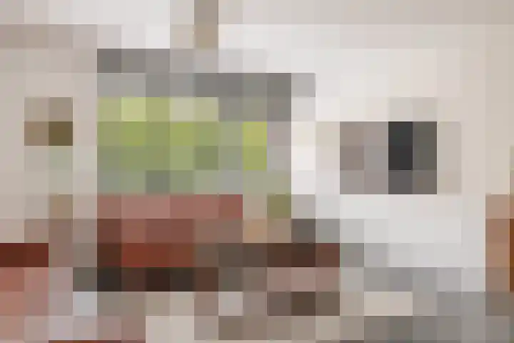 Terschellingkade 13 Woerden thumbnail 18