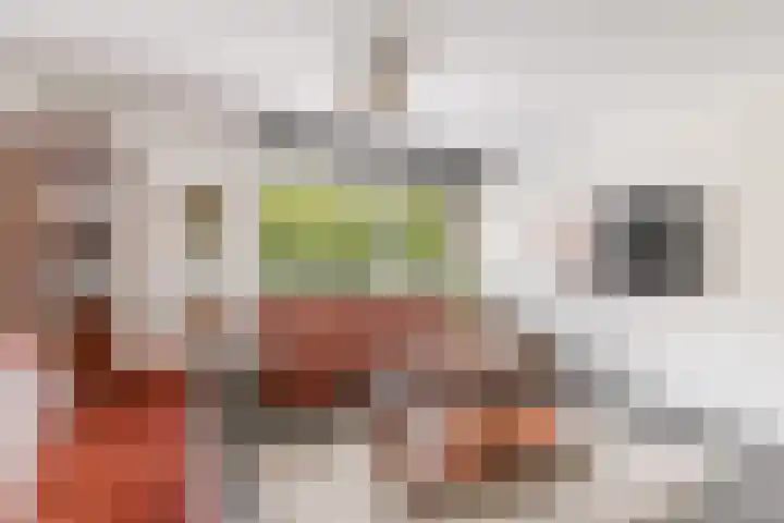 Terschellingkade 13 Woerden thumbnail 24