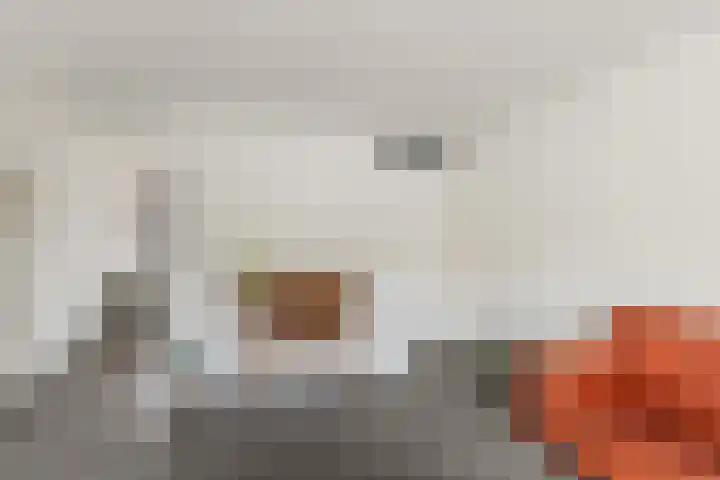 Terschellingkade 13 Woerden thumbnail 26