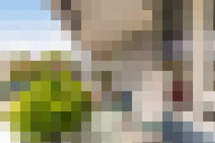 Terschellingkade 13 Woerden thumbnail 37