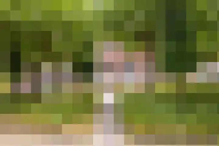 Terschellingkade 13 Woerden thumbnail 45