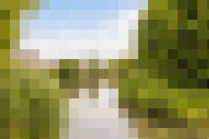 Terschellingkade 13 Woerden thumbnail 46