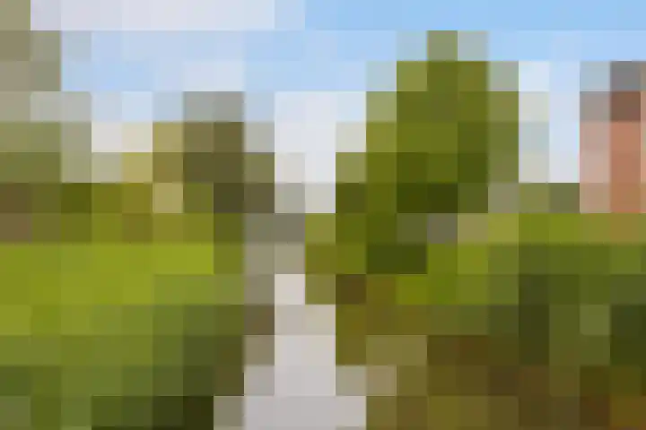 Terschellingkade 13 Woerden thumbnail 47