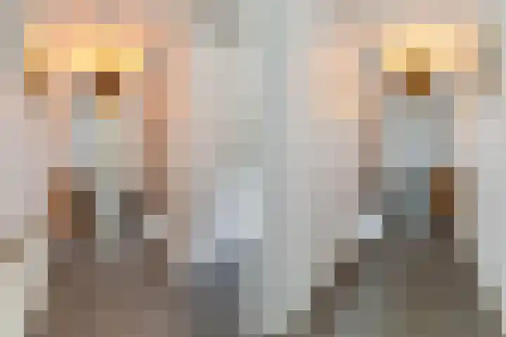 Terschellingkade 13 Woerden thumbnail 6