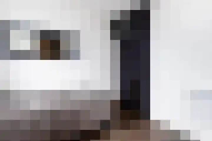 Terschellingkade 16 Woerden thumbnail 11