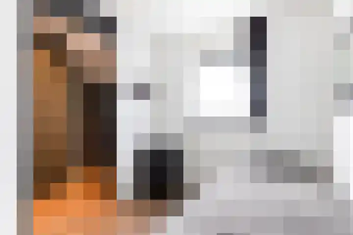 Terschellingkade 16 Woerden thumbnail 12