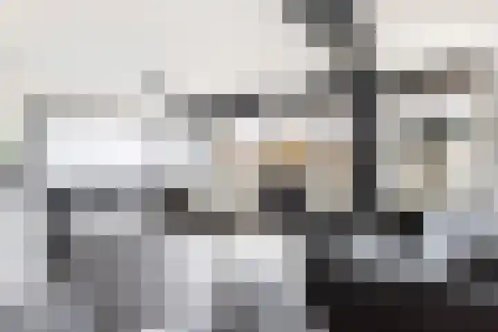 Terschellingkade 16 Woerden thumbnail 24