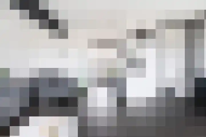 Terschellingkade 16 Woerden thumbnail 28