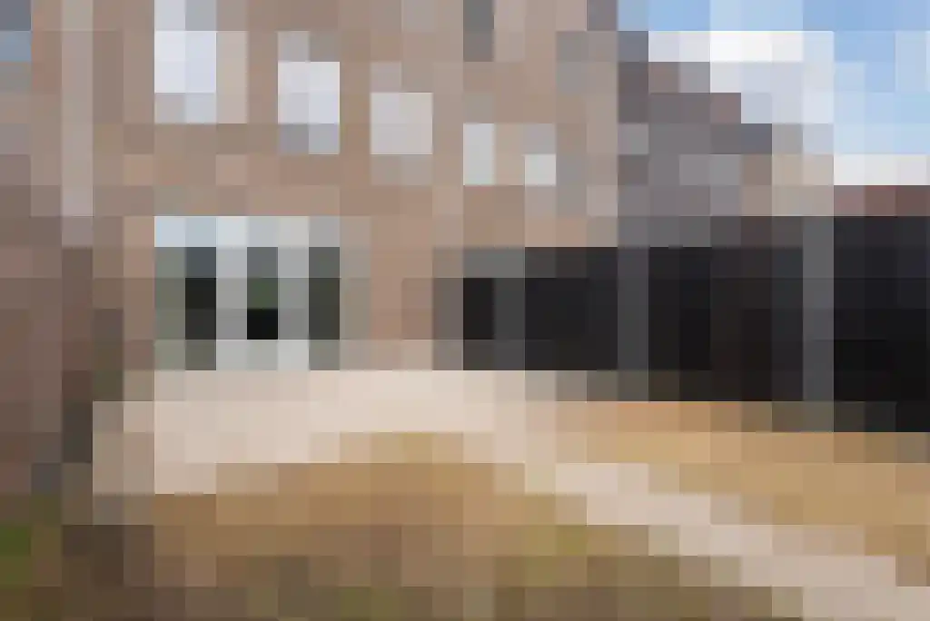 Terschellingkade 162 Amersfoort thumbnail 29
