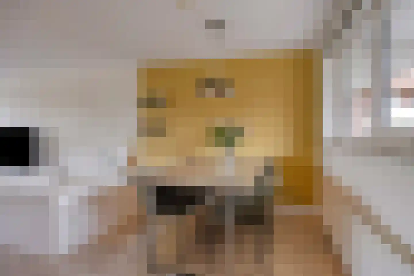 Terschellingkade 18 Woerden thumbnail 10