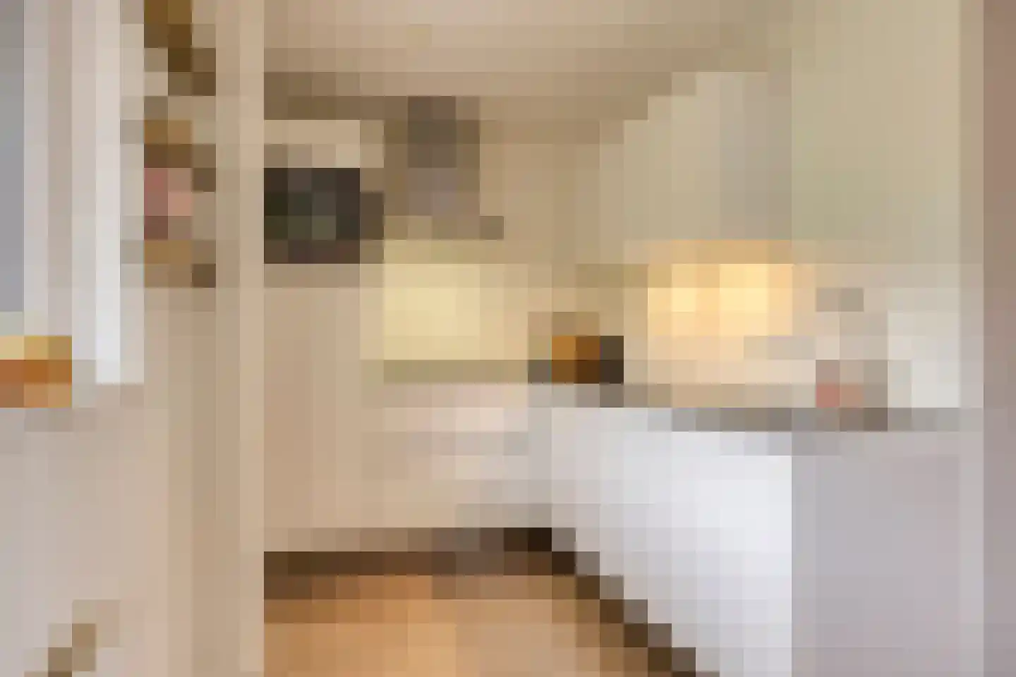 Terschellingkade 18 Woerden thumbnail 11