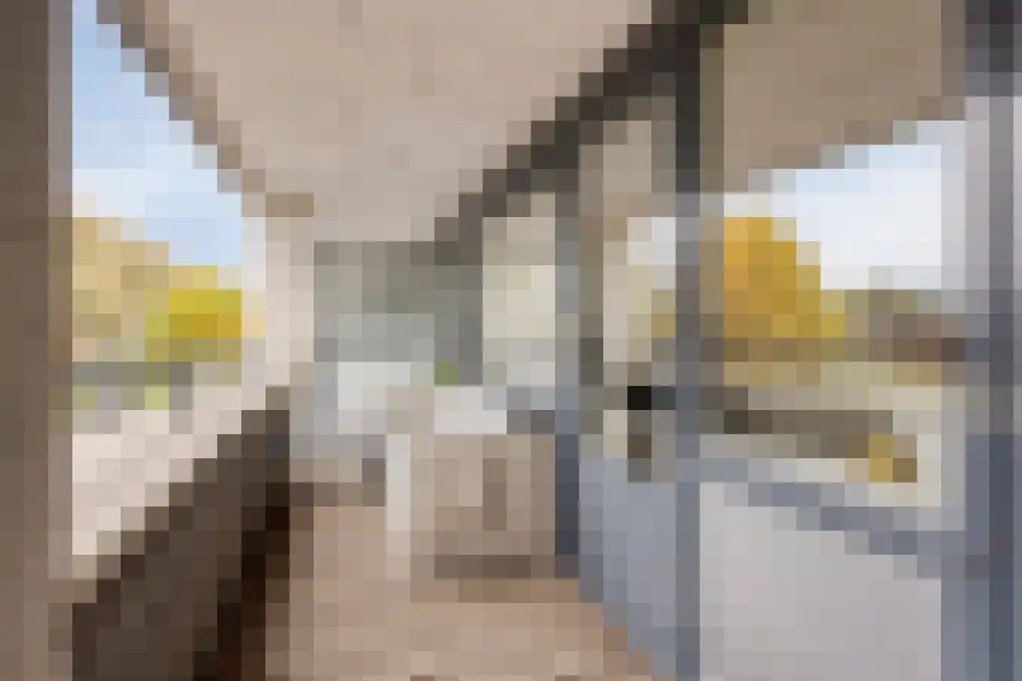 Terschellingkade 18 Woerden thumbnail 12