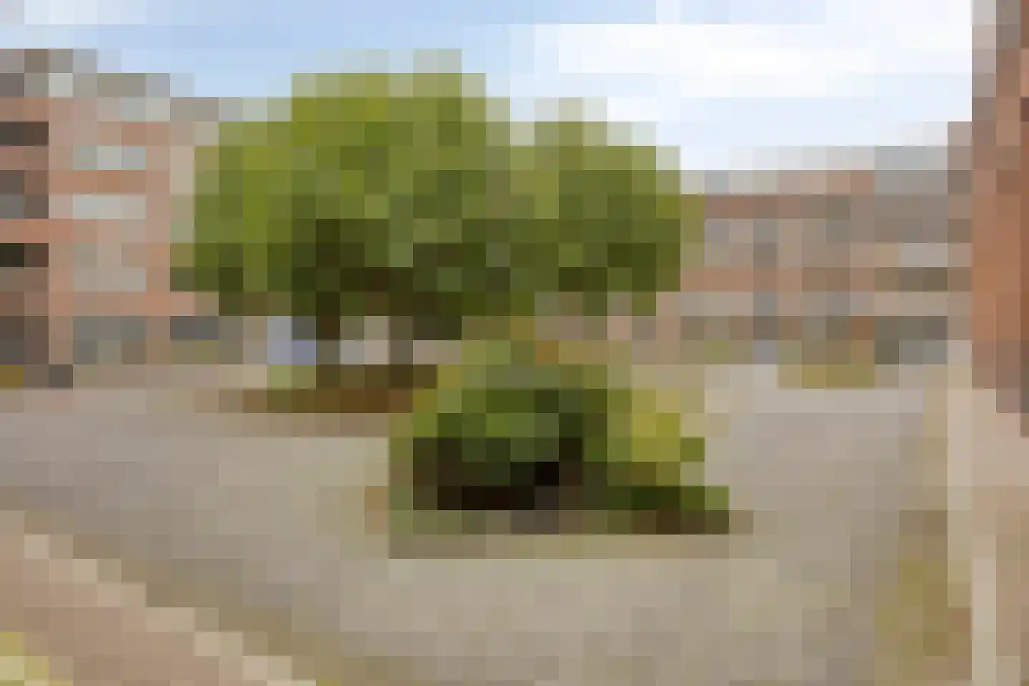 Terschellingkade 18 Woerden thumbnail 32