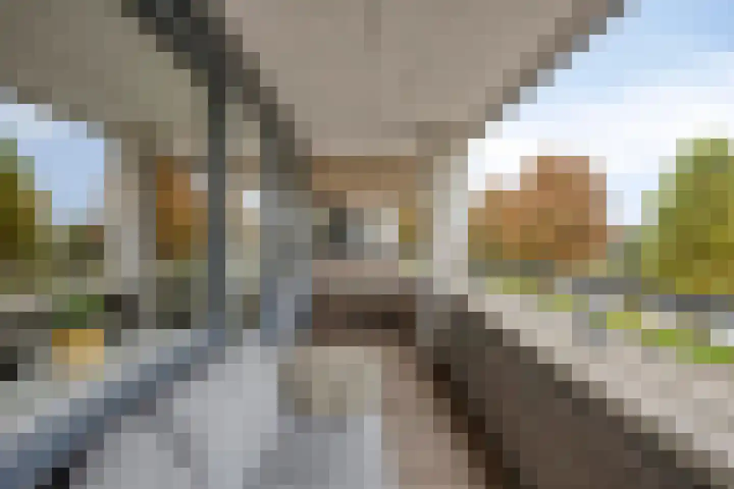 Terschellingkade 18 Woerden thumbnail 4
