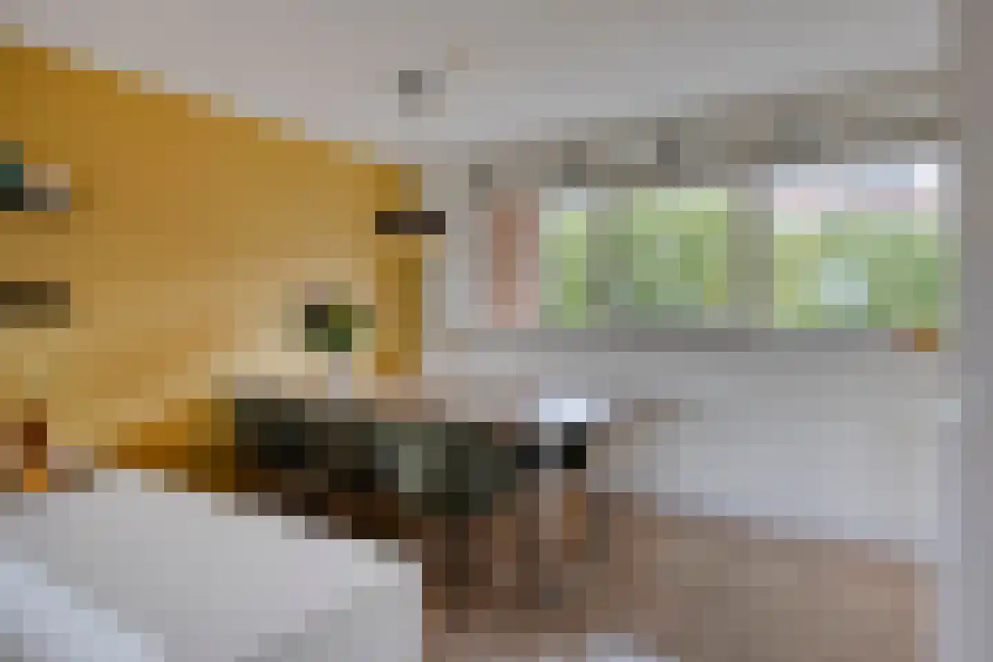Terschellingkade 18 Woerden thumbnail 9