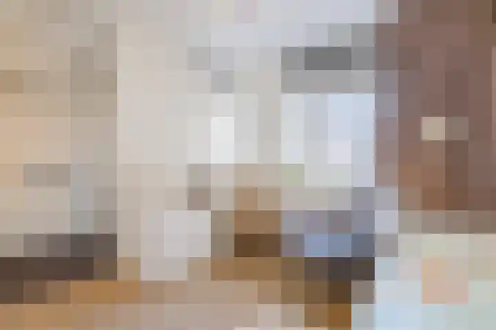 Terschellingkade 19 Woerden thumbnail 10