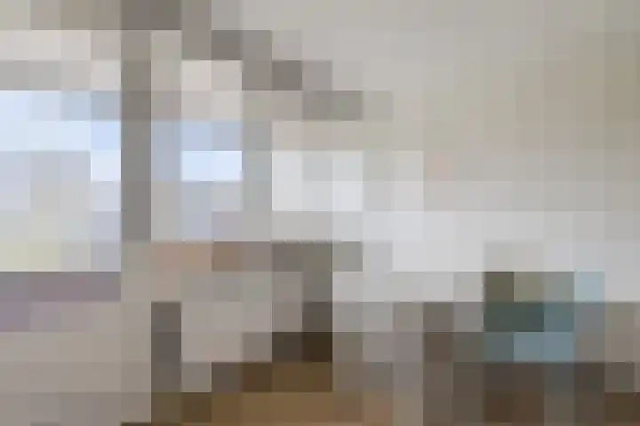 Terschellingkade 19 Woerden thumbnail 29