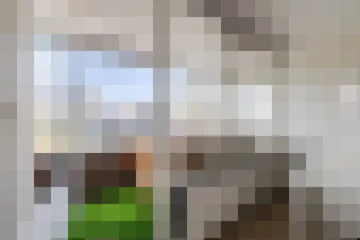 Terschellingkade 19 Woerden thumbnail 33
