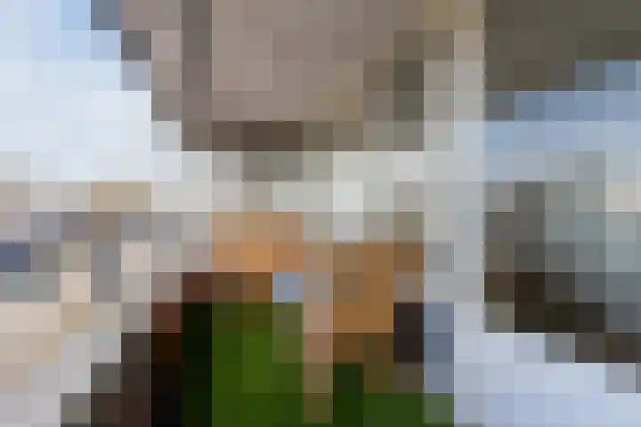 Terschellingkade 19 Woerden thumbnail 34