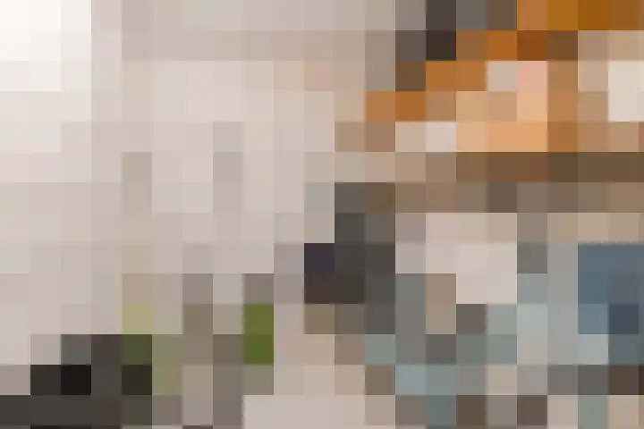Terschellingkade 19 Woerden thumbnail 36
