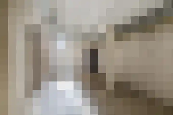 Terschellingkade 19 Woerden thumbnail 38