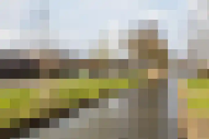 Terschellingkade 19 Woerden thumbnail 41