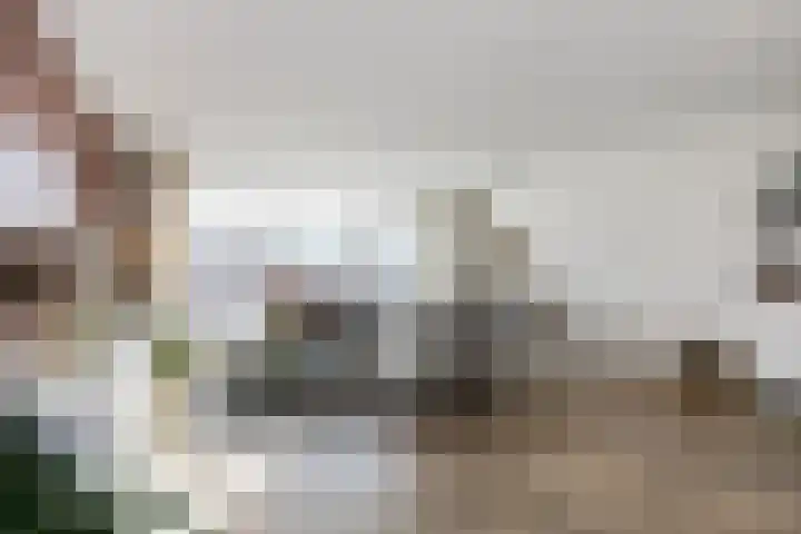 Terschellingkade 208 Amersfoort thumbnail 10